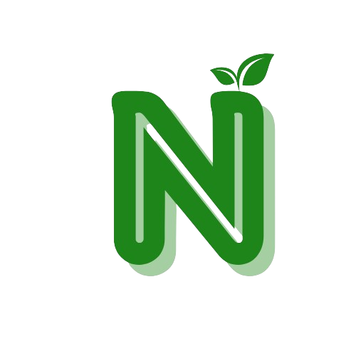nudger.fr logo dark
