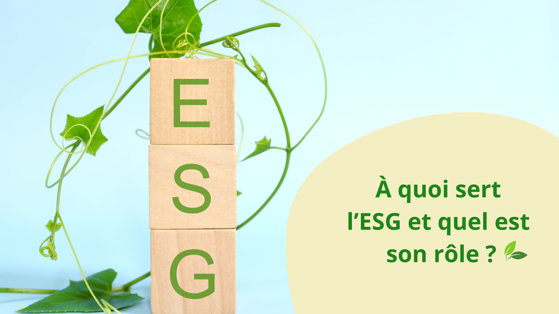 Image mise en avant pour À quoi sert l'ESG ?