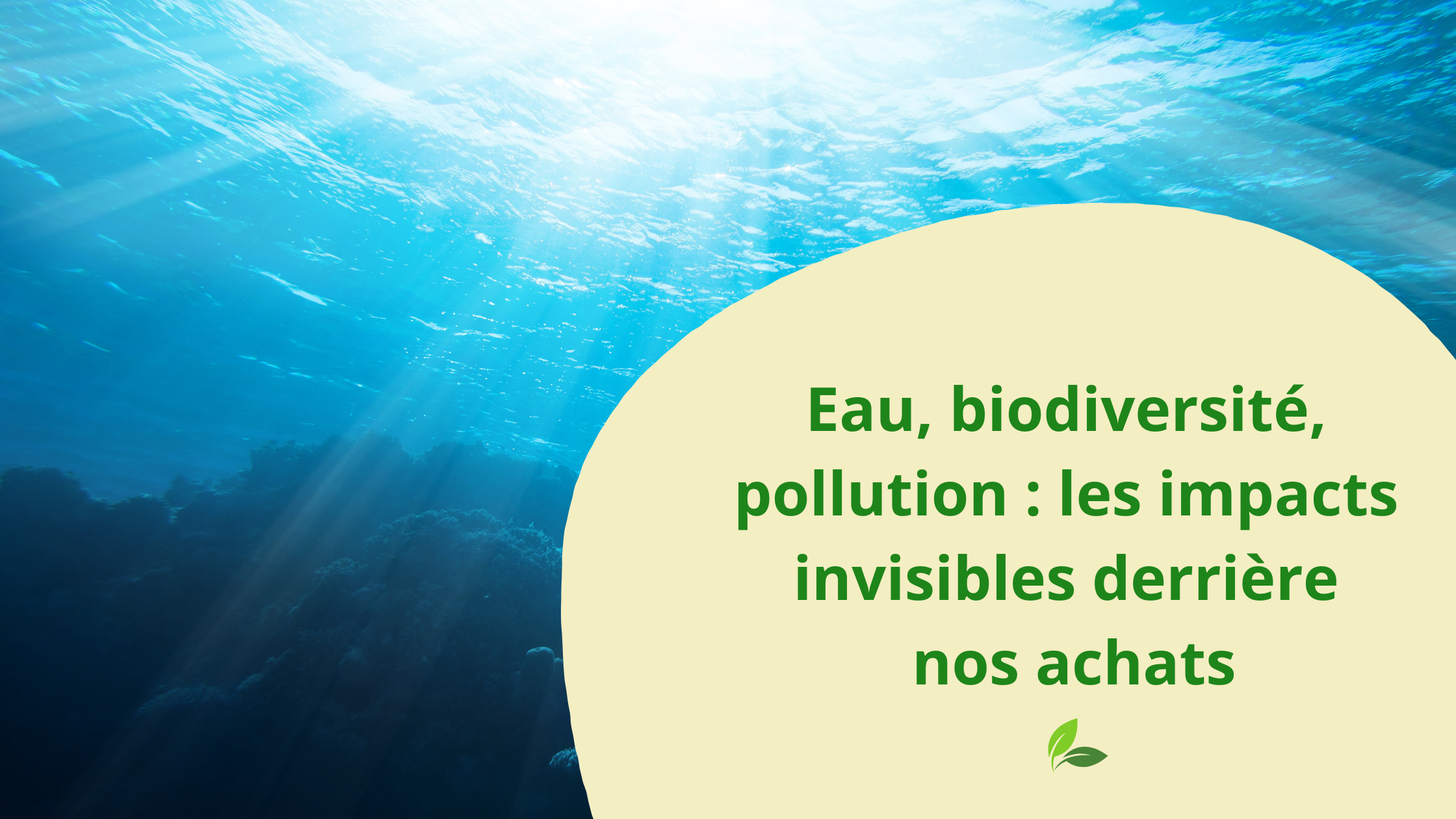 Image mise en avant pour Eau, biodiversité, pollution : les impacts invisibles derrière nos achats