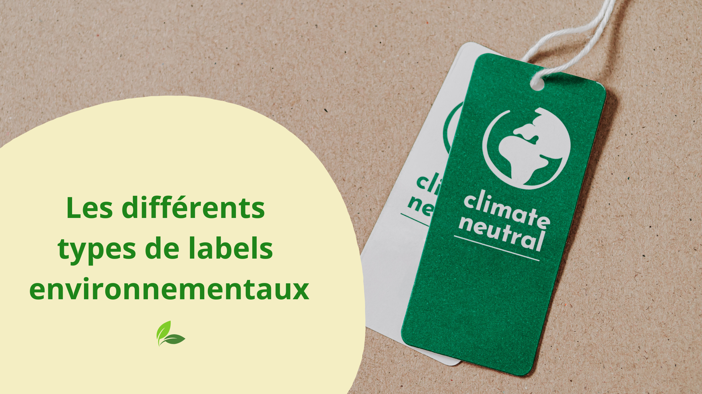 Image mise en avant pour Les différents types de labels environnementaux
