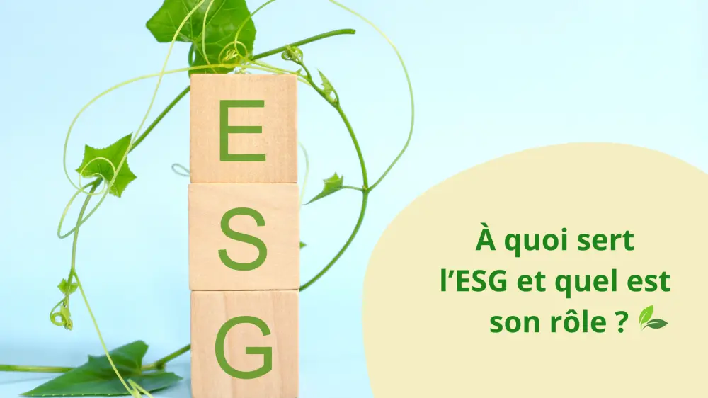 À quoi sert l’ESG ?
