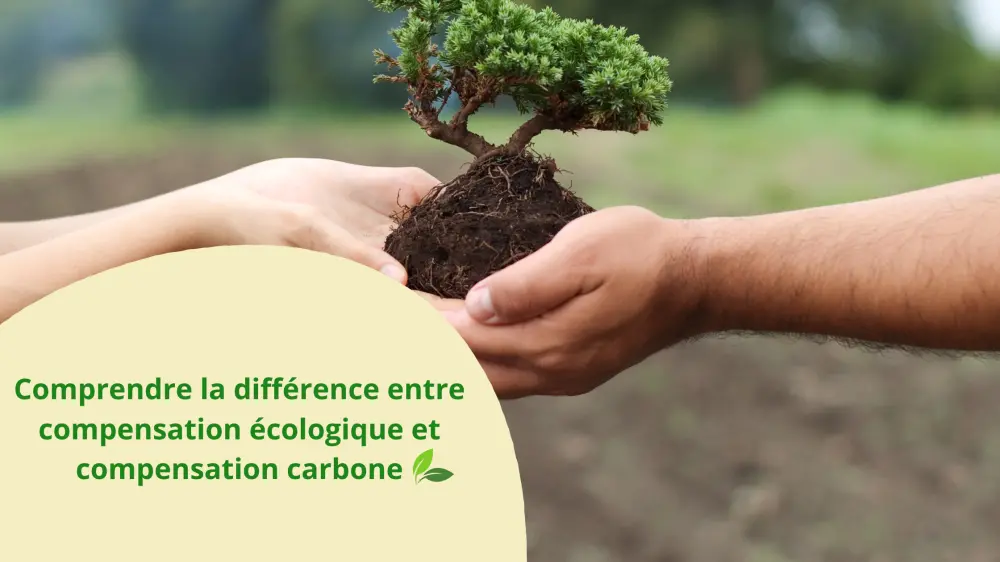 Comprendre la différence entre compensation écologique et compensation carbone