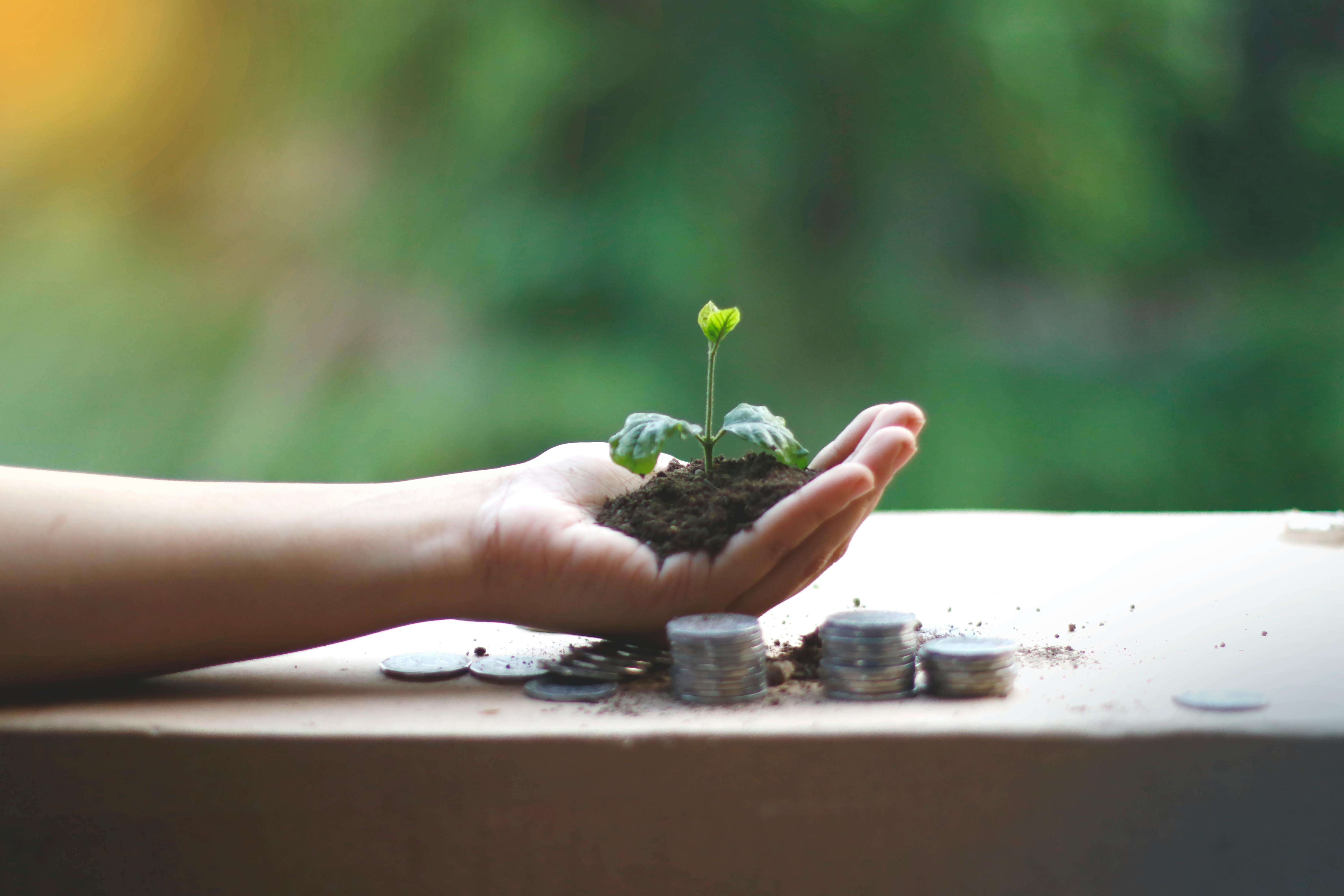 Qu’est-ce que la contribution écologique ?