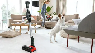 Image relative au BOSCH-BCS711PET