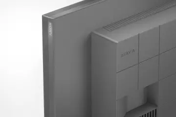 Image relative au SONY-FW32BZ30JEU