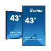 Miniature de IIYAMA-LH4341UHS-B2