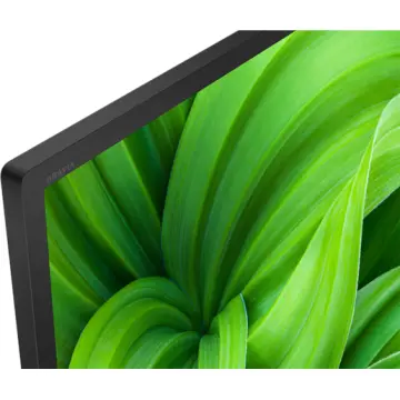 Image relative au SONY-KD32W804P1AEP