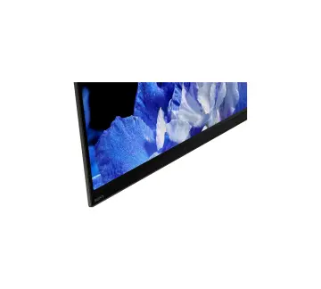 Image relative au SONY-KD65AF8
