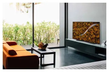 Image relative au LG-OLED55CX9LA