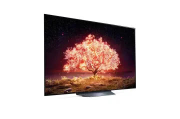 Image relative au LG-OLED65B1