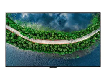 Image relative au LG-OLED65GX6LA