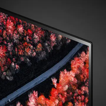 Image relative au LG-OLED55C9