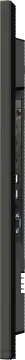 Image relative au IIYAMA-LH4360UHS-B1AG