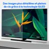 Miniature de MEDION-30037383