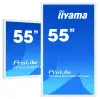 Miniature de IIYAMA-TF5539UHSC