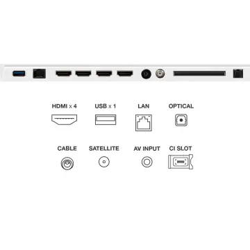 Image relative au TCL-55A300W