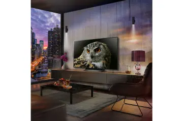 Image relative au LG-OLED42C4