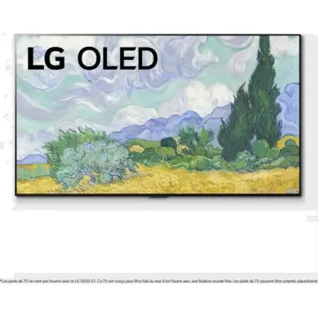 Image relative au LG-OLED55G1
