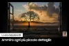 Miniature de SAMSUNG-QE55QN700B