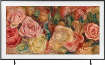 Image relative au SAMSUNG-QE55LS03D