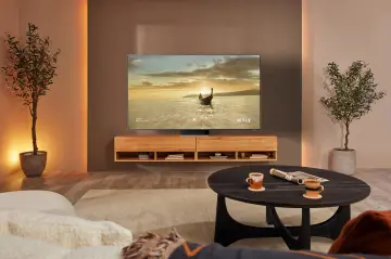 Image relative au SAMSUNG-QE55QN95B