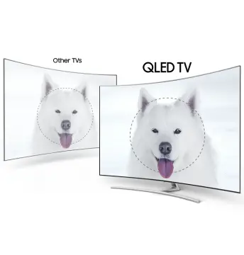 Image relative au SAMSUNG-QE65Q8C