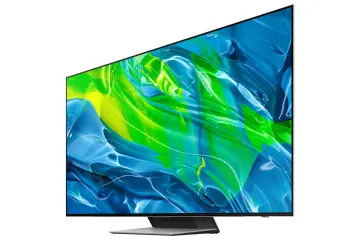 Image relative au SAMSUNG-QE65S95BAT