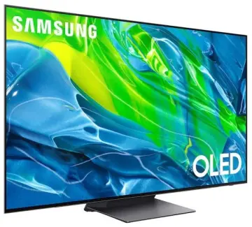 Image relative au SAMSUNG-QE65S95BAT