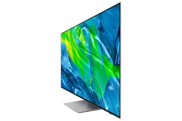 Image relative au SAMSUNG-QE65S95BAT