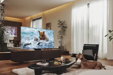 Image relative au SAMSUNG-QE55QN700B