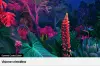 Miniature de SAMSUNG-UE85BU8070UXZT