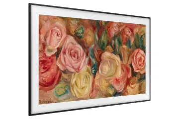 Image relative au SAMSUNG-TQ85LS03D
