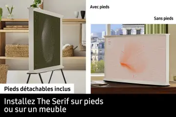 Image relative au SAMSUNG-TQ43LS01DA