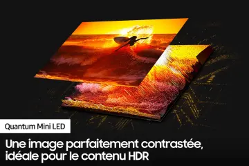 Image relative au SAMSUNG-TQ55QN90D