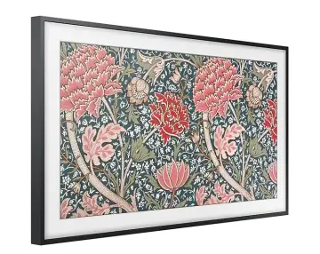 Image relative au SAMSUNG-QE43LS03RAUXXC