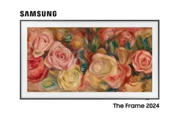 Image relative au SAMSUNG-TQ43LS03DAUXXC