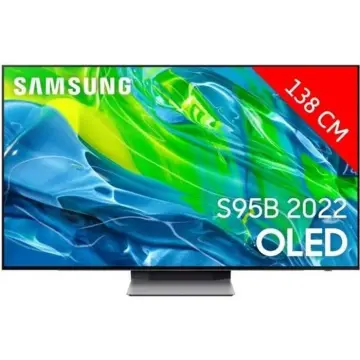Image relative au SAMSUNG-QE55S95B