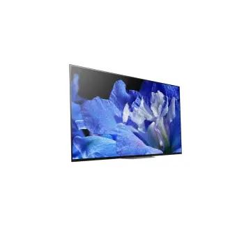 Image relative au SONY-KD65AF8