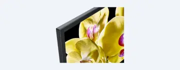 Image relative au SONY-KD65XG8096