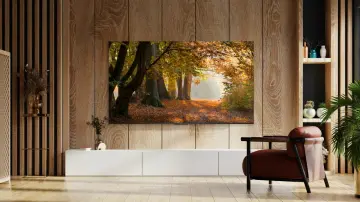 Image relative au TCL-43P61B