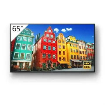 Image relative au SONY-FW-65BZ30J