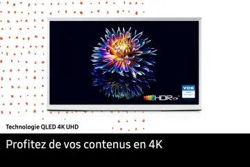 Image relative au SAMSUNG-TQ43LS01DA