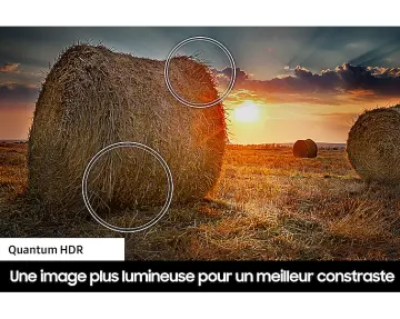 Image relative au SAMSUNG-TQ55Q65C