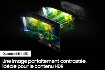 Image relative au SAMSUNG-TQ85QN900D