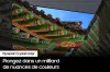 Miniature de SAMSUNG-TU43DU8505K