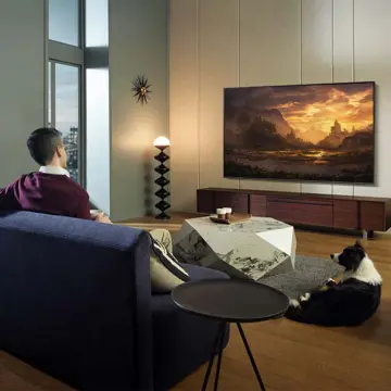 Image relative au SAMSUNG-QE50Q60C