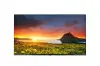 Miniature de LG-55UR762H9