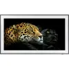 Miniature de SAMSUNG-QE55LS03A