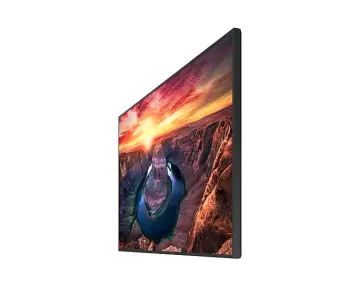 Image relative au SAMSUNG-QM65B