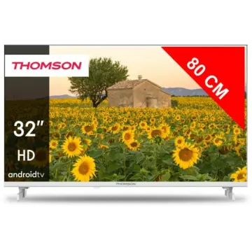 Image relative au THOMSON-32HA2S13W